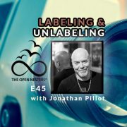 E45-Jonathan-Pillot Labeling and Unlabeling