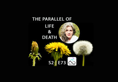 THE-PARALLEL-OF-LIFE-AND-DEATH-TON