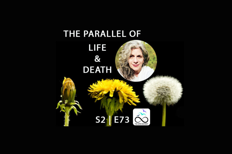 THE-PARALLEL-OF-LIFE-AND-DEATH-TON