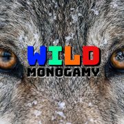 WILD MONOGAMY